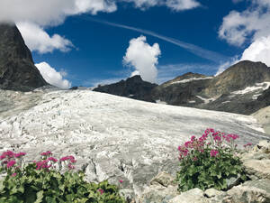 On côtoie la langue glaciaire de la Barre des Écrins dans le parc national du même nom.