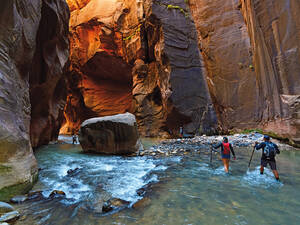 Die Wanderung durch die «Narrows» des Virgin River im Zion N.P. führt immer im Fluss in den schmalen Canyon.