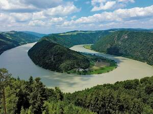 Die Schlögener Schlinge in Oberösterreich, wo sich die Donau in einer spektakulären Doppelschleife durch die bewaldeten Hügel des Mühlviertels windet.