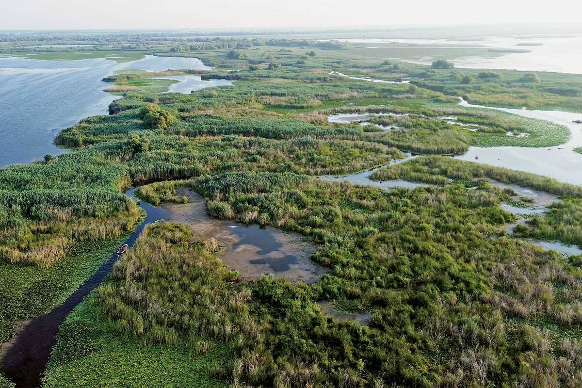 Auf einer geführten Tour mit dem Motorboot entdecken wir die eindrückliche Landschaft und Tierwelt des Donaudeltas.