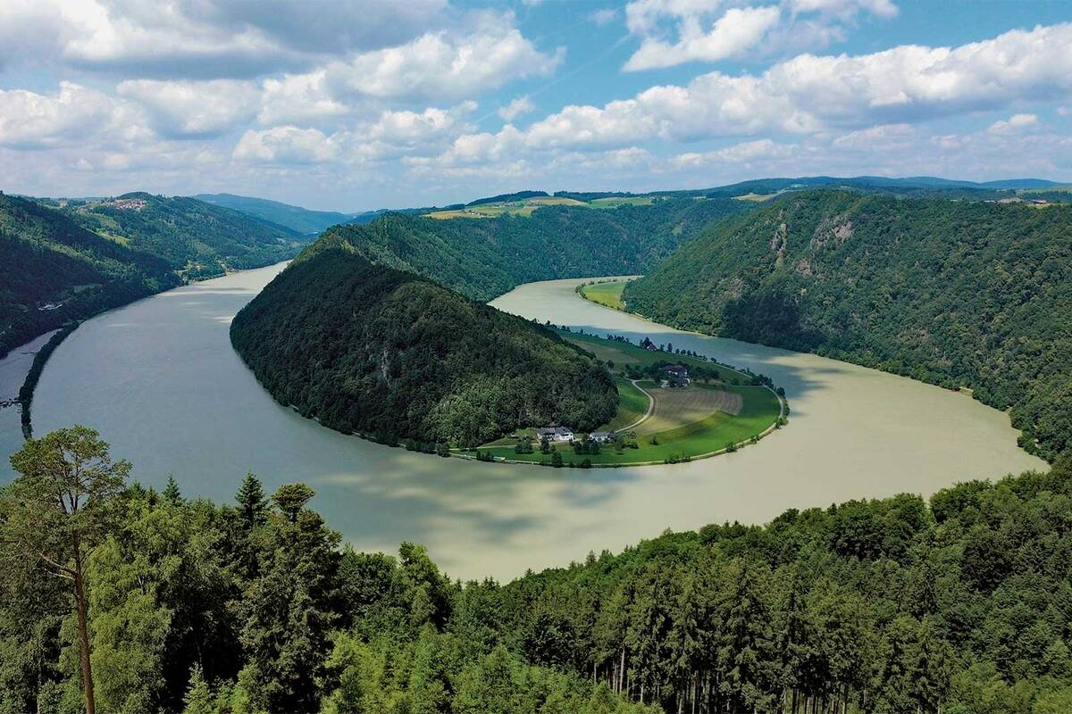 La boucle de Schlögen, en Haute-Autriche, où le Danube décrit une spectaculaire double boucle à travers les collines boisées du Mühlviertel.