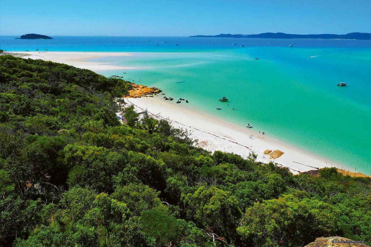 Die von Hoop pines, markanten Reifkiefern, bewachsene Insel des Whitsunday Islands Nationalpark hat eine paradiesische Ausstrahlung. 