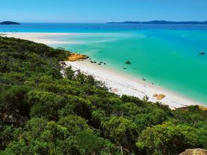 Die von Hoop pines, markanten Reifkiefern, bewachsene Insel des Whitsunday Islands Nationalpark hat eine paradiesische Ausstrahlung. 