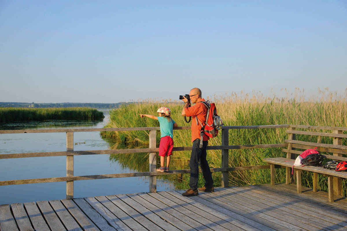 Der Federsee bei Bad Buchau in Oberschwaben liegt inmitten eines grossen Moorgebietes.