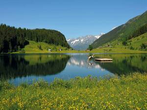 Abtauchen, wie hier im Golzernsee, ist an vielen Stellen im Kanton Uri möglich.