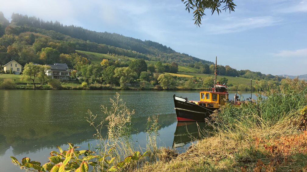 Entlang der Mosel